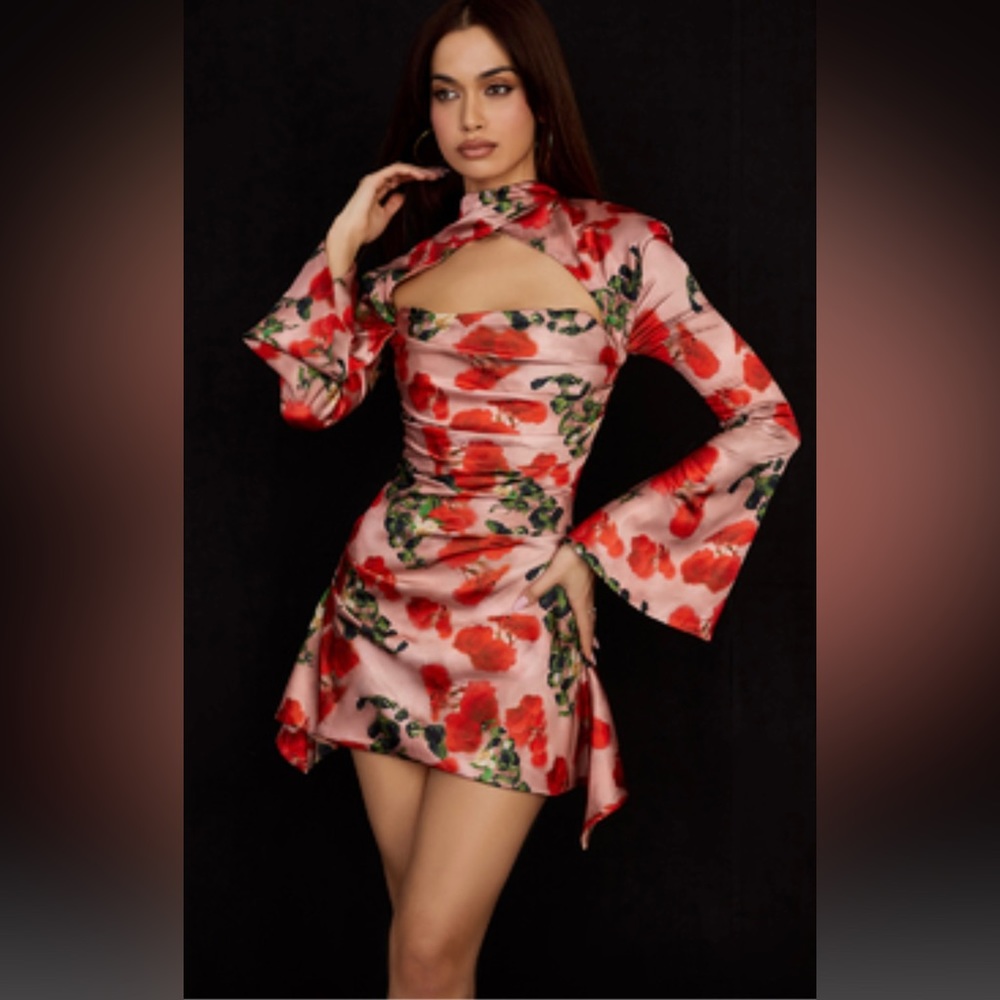 Rose printed corset dress
